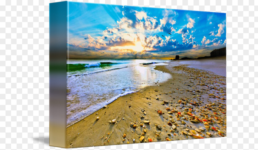 Beach Sunset Sea Water Resources Art Portland Photography PNG