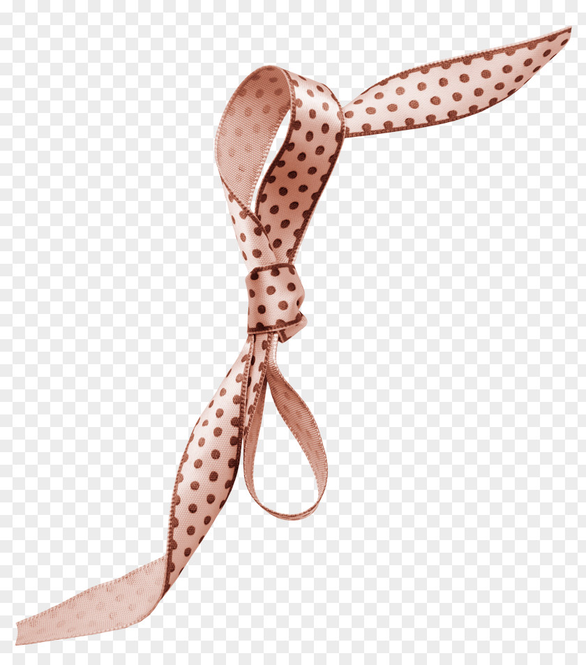 Bow Shoelace Knot Tie Google Images PNG