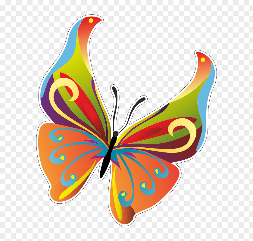 Butterfly Insect Vector Graphics Clip Art PNG
