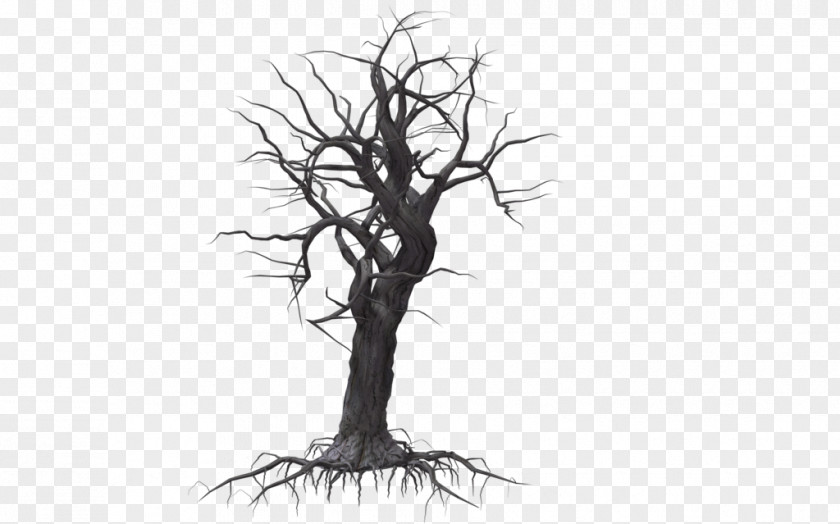 Creepy Tree Woody Plant Drawing PNG