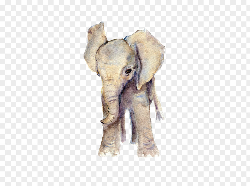 Elephant African Watercolor Painting Printmaking PNG