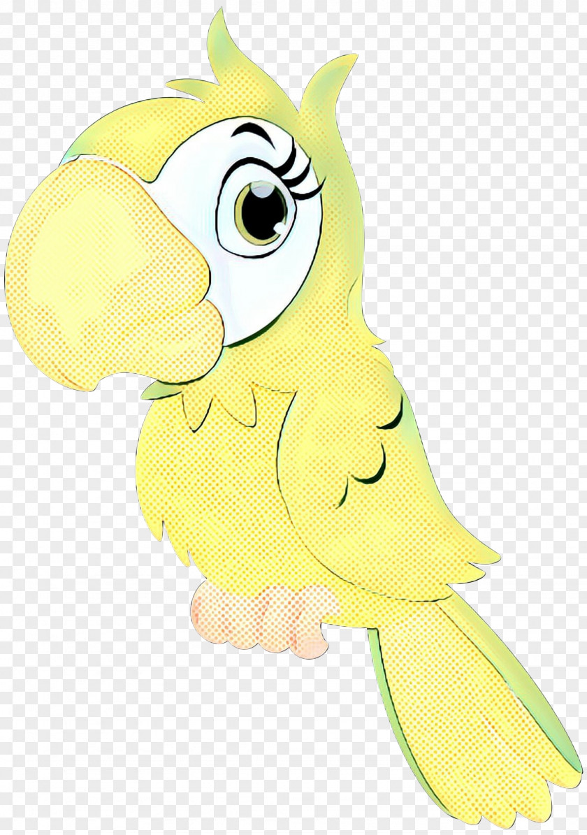 Macaw Parrot Clip Art Beak Feather PNG