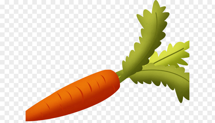 Maroon Balloon Clip Art Carrot Root Vegetables PNG