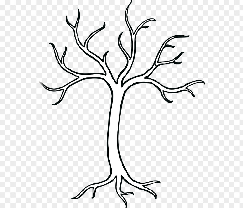 Tree Drawing Clip Art PNG