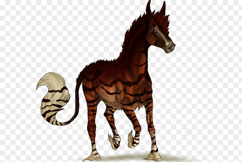 View Mountain Mustang Stallion Quagga Halter Pack Animal PNG