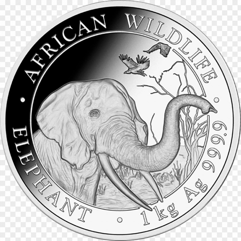Coin Somalia Bullion Silver PNG