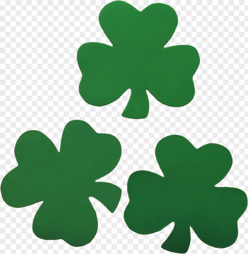 Saint Patrick's Day St. Cathedral Ireland Shamrock Irish People PNG