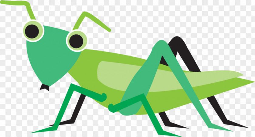 Cartoon Grasshopper Clip Art Beetle Insect Image PNG