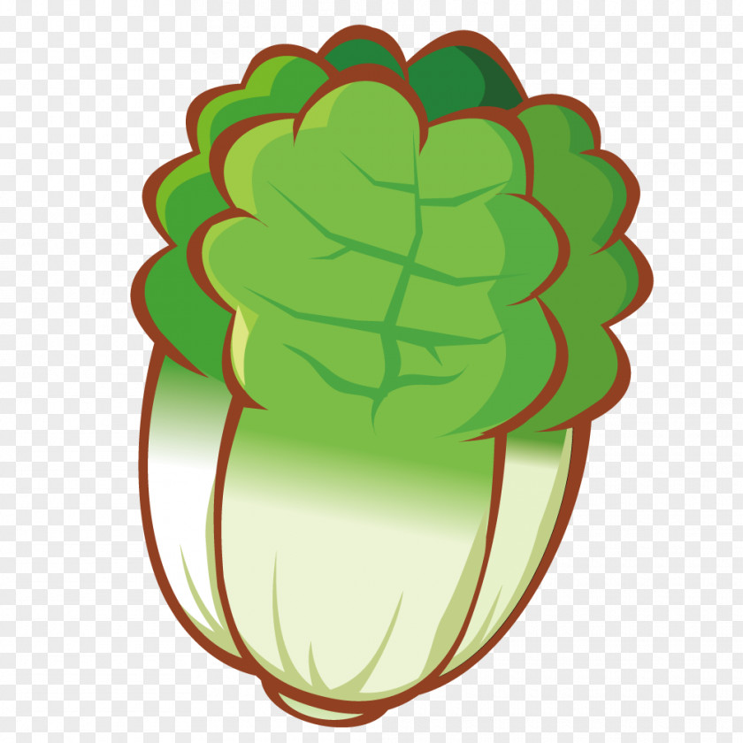 Cartoon Lifelike Cabbage Vegetable Drawing PNG
