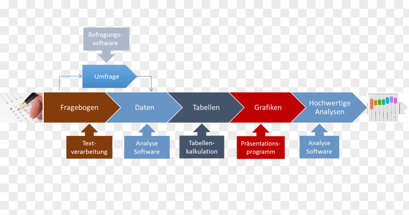 Data Analysis Market Research Organization Process Primary PNG