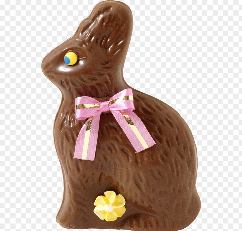 Easter Bunny Chocolate Humour PNG