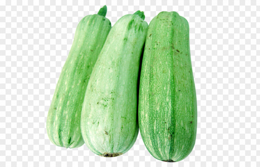 Green Vegetables Cucumber Calabaza Vegetable Wax Gourd PNG