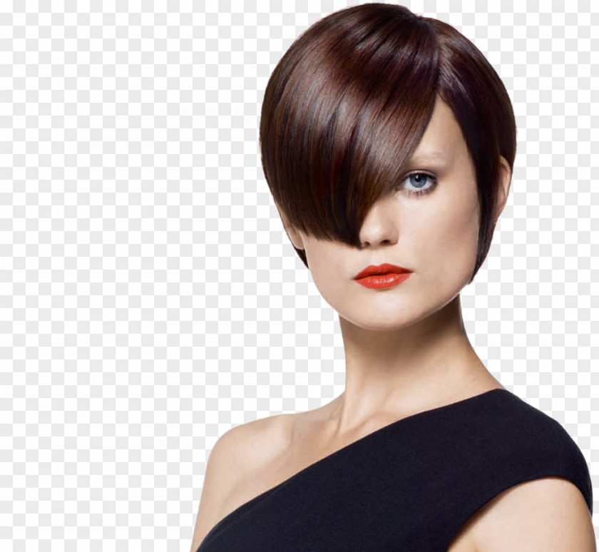 Hairdresser New York Hairstyle Beauty Parlour Hair Care PNG