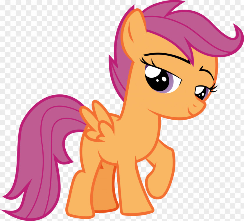 Pegasus Scootaloo Twilight Sparkle Rainbow Dash Pony Rarity PNG