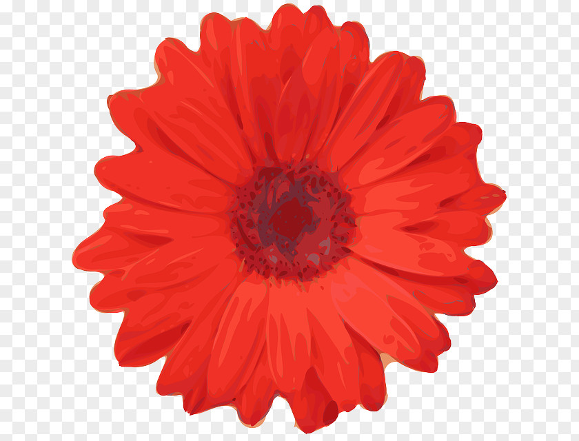 Red Flower Poppy Clip Art PNG