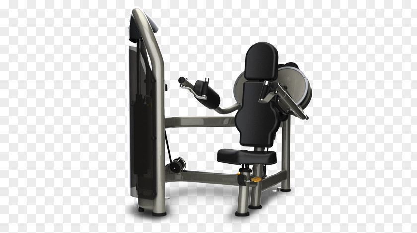 Exercise Machine Equipment Fitness Centre Calf Raises Physical Weight Training PNG