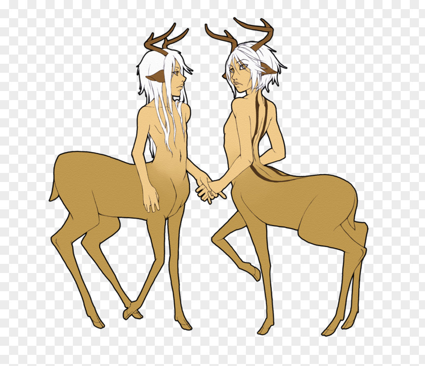 Female Centaur Pictures Reindeer Centaurides Clip Art PNG