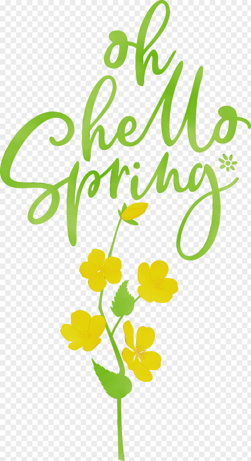 Floral Design PNG