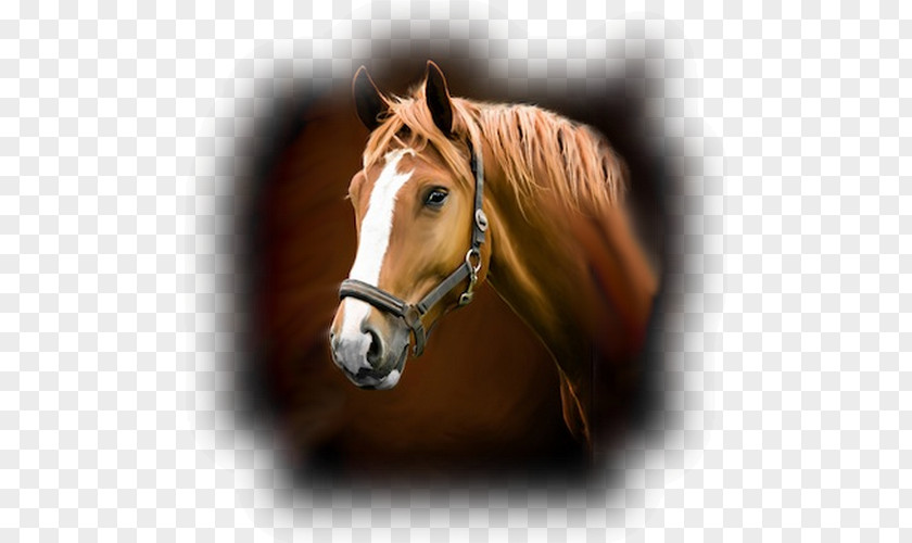 Horse Stable Wall Decal Sticker Barn PNG