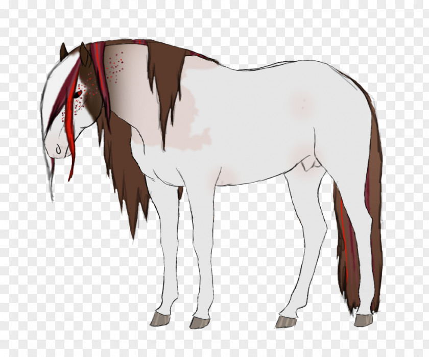 Mustang Mule Foal Stallion Mare Rein PNG