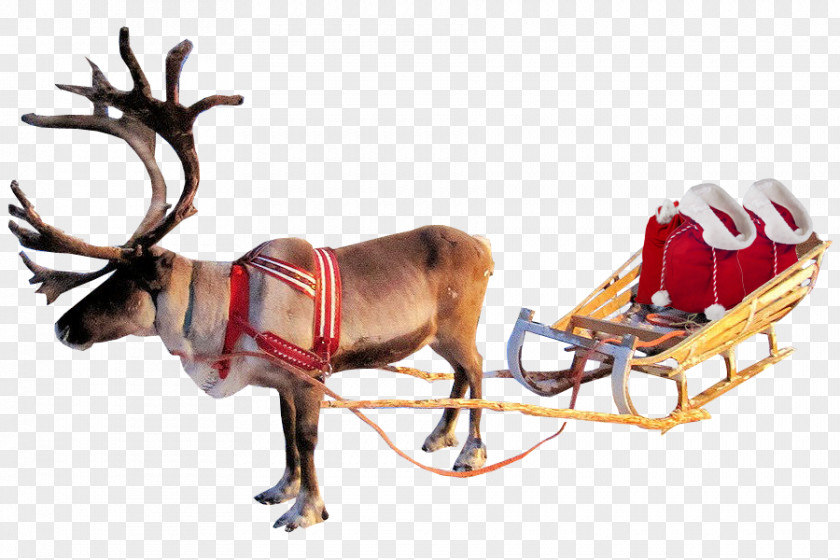 Reindeer Santa Claus Clip Art Transparency PNG