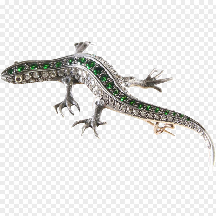 Salamander Gecko Reptile Jewellery Lizard PNG