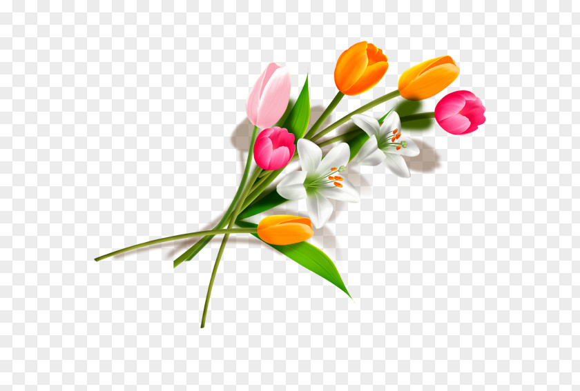 Bouquet Of Tulips Tulip Flower PNG