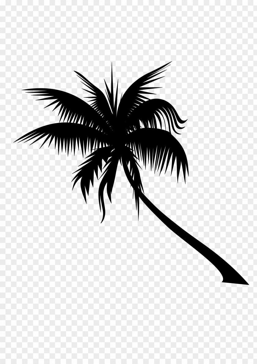 Coconut Vector Graphics Tree Dypsis Decaryi Adonidia PNG