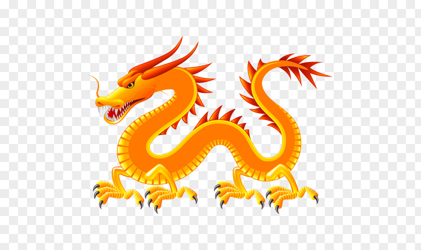 Dragon Chinese Illustration PNG