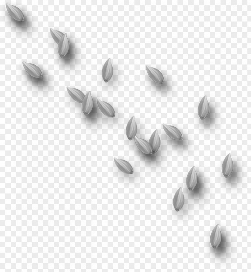 Flower Petal Leaf Psd PNG