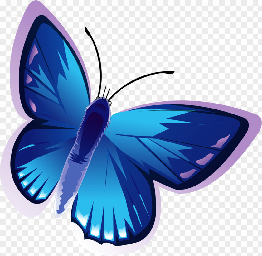 Fly Butterfly Albom Clip Art PNG