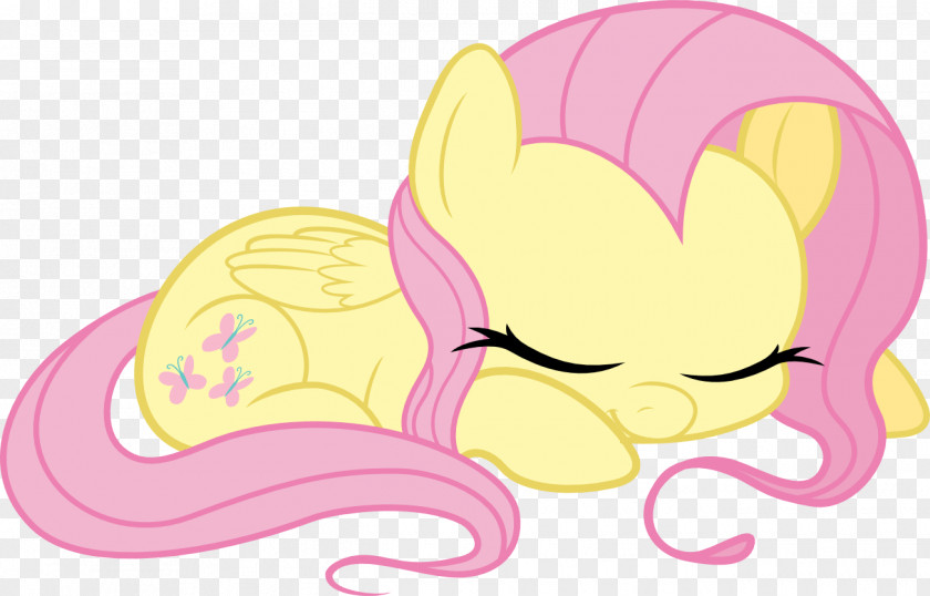 My Little Pony Fluttershy Twilight Sparkle Rainbow Dash Pinkie Pie PNG