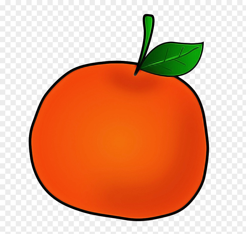 Orange PNG