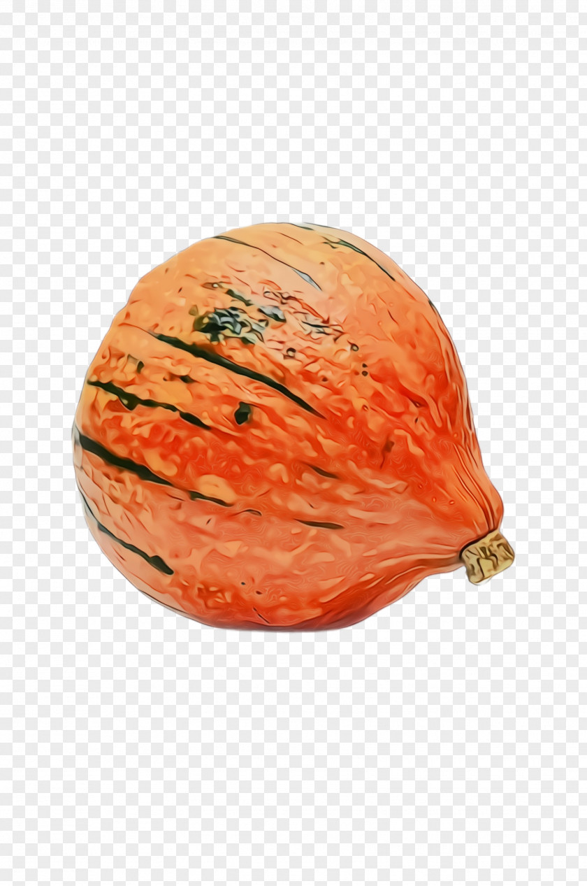 Peach Vegetable Orange PNG