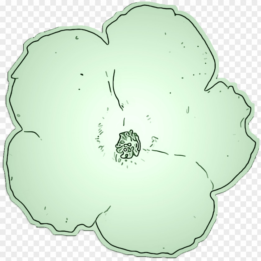 Petal Plant Leaf Clip Art PNG