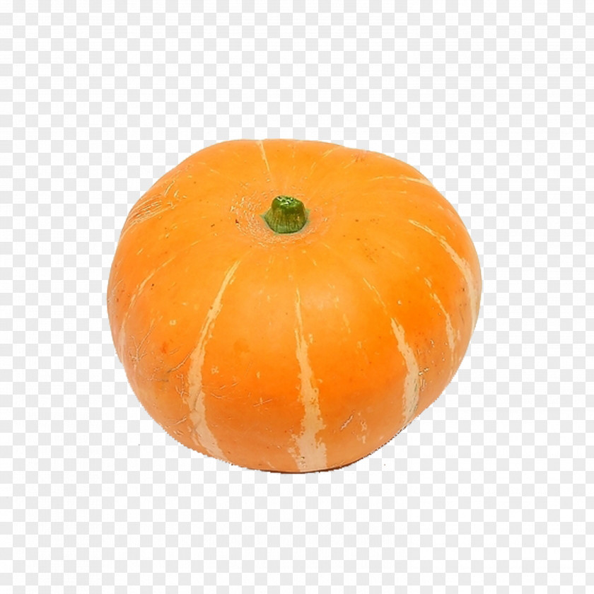 Pumpkin Calabaza Cucurbita Maxima Winter Squash Gourd PNG