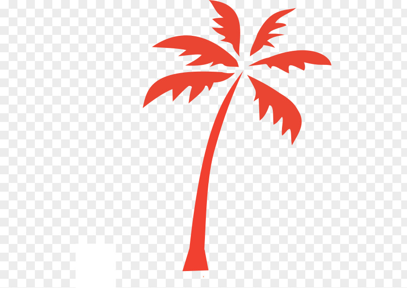 Beach Arecaceae Palm Islands Villa PNG