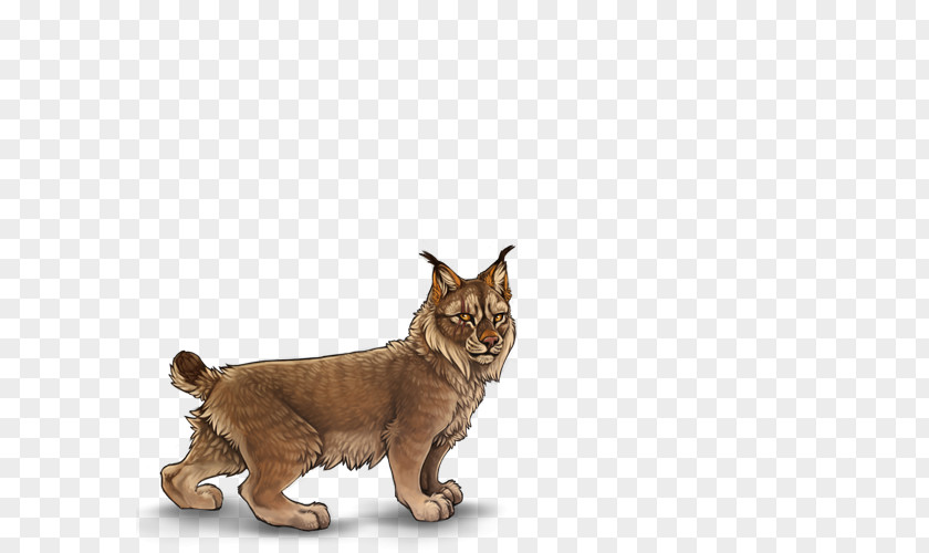 Cat Whiskers Lynx Art Lion PNG