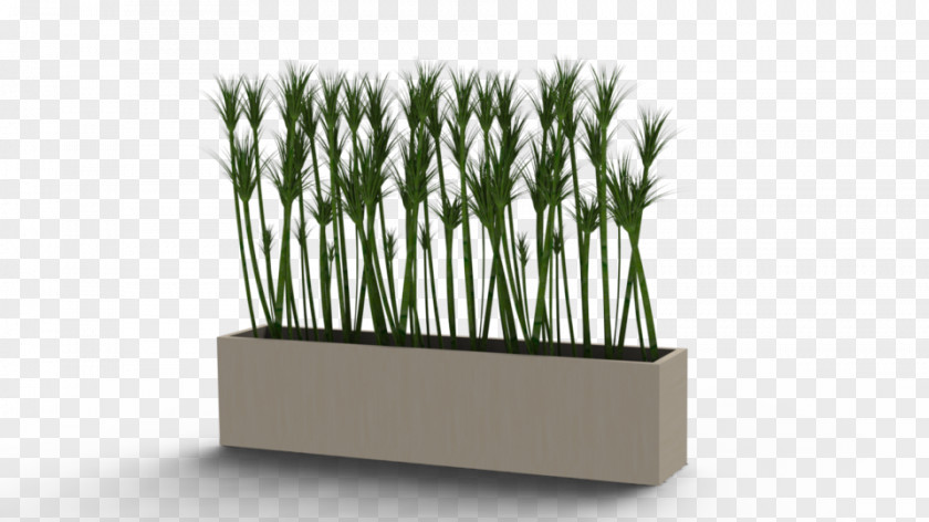 Flower Pot Flowerpot Houseplant SolidWorks PNG