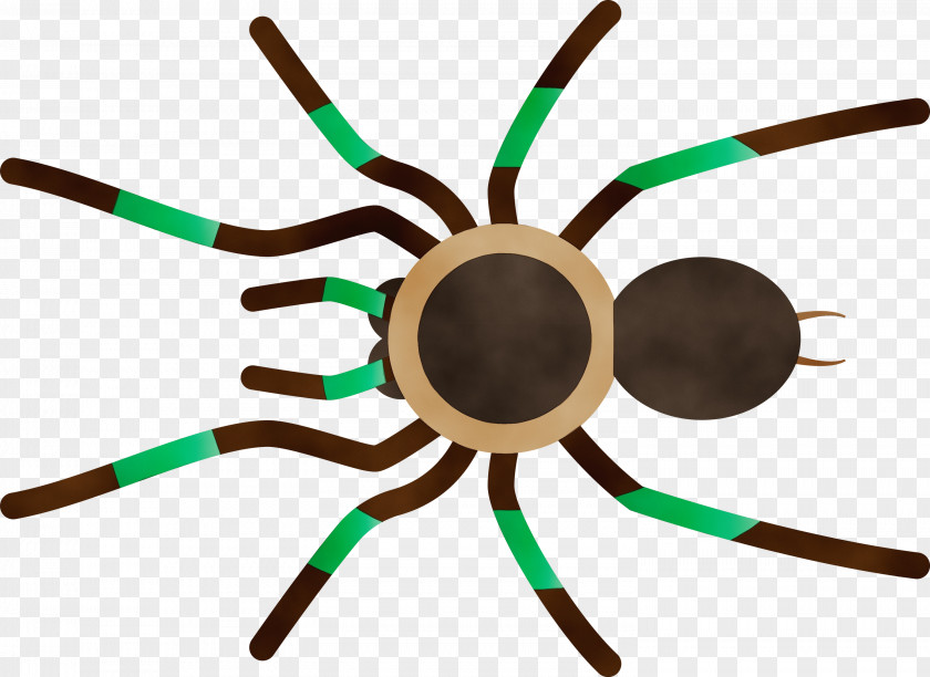 Insect Line PNG
