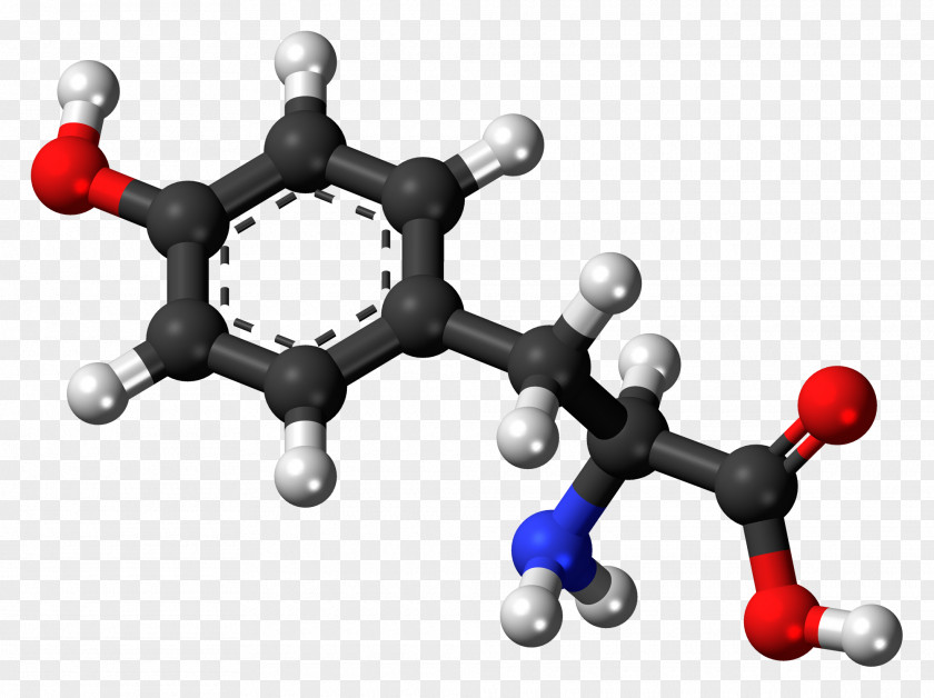 Neutral Tyrosine Levodopa Dopamine Amino Acid Molecule PNG