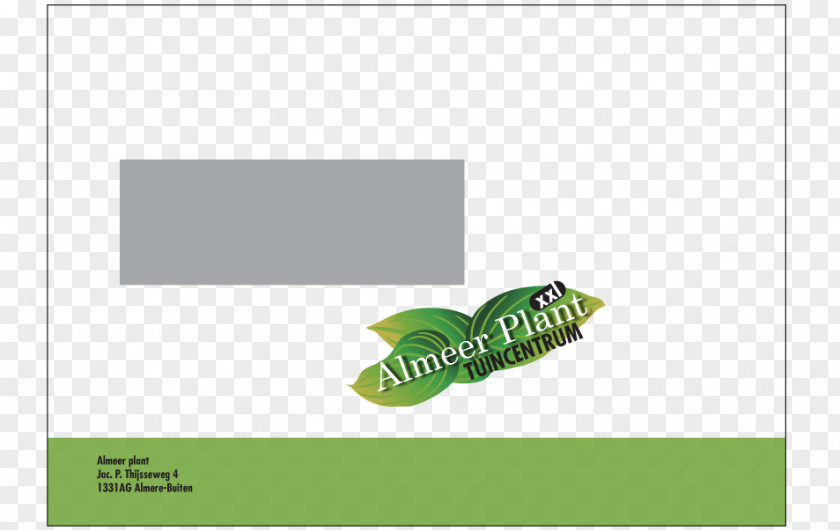 Plant Design Logo Brand Product Green Font PNG