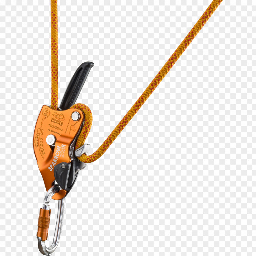 Belay & Rappel Devices 懸垂下降器 Climbing Rope Access Belaying PNG