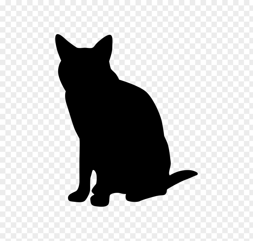 Cat Whiskers Black Feline Lower Urinary Tract Disease PNG