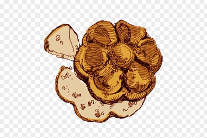 Delicious Cookies Cookie Biscuit Illustration PNG