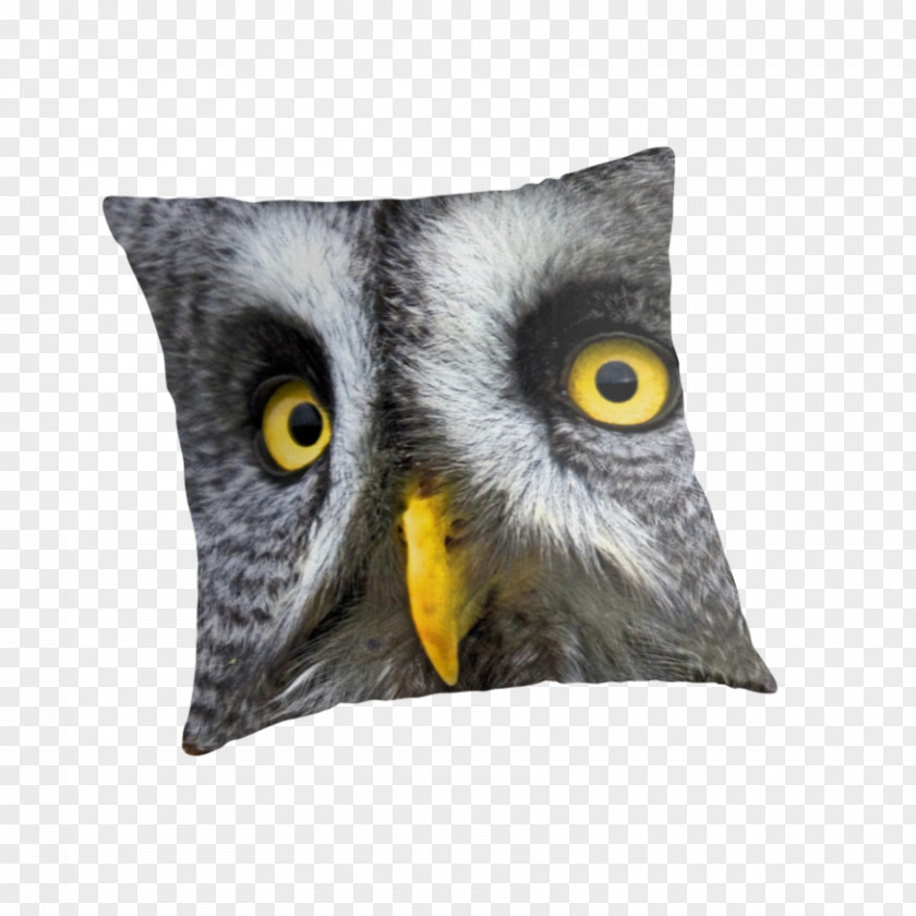 Grey Owl Throw Pillows Cushion Beak PNG