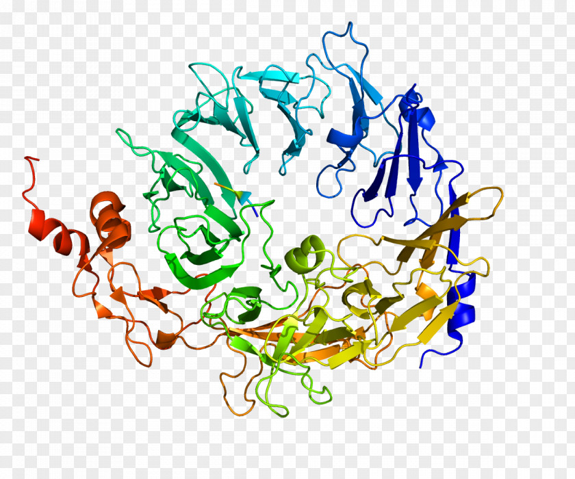 Sortilin 1 PCSK9 Protein Structure Gene Neurotensin Receptor PNG