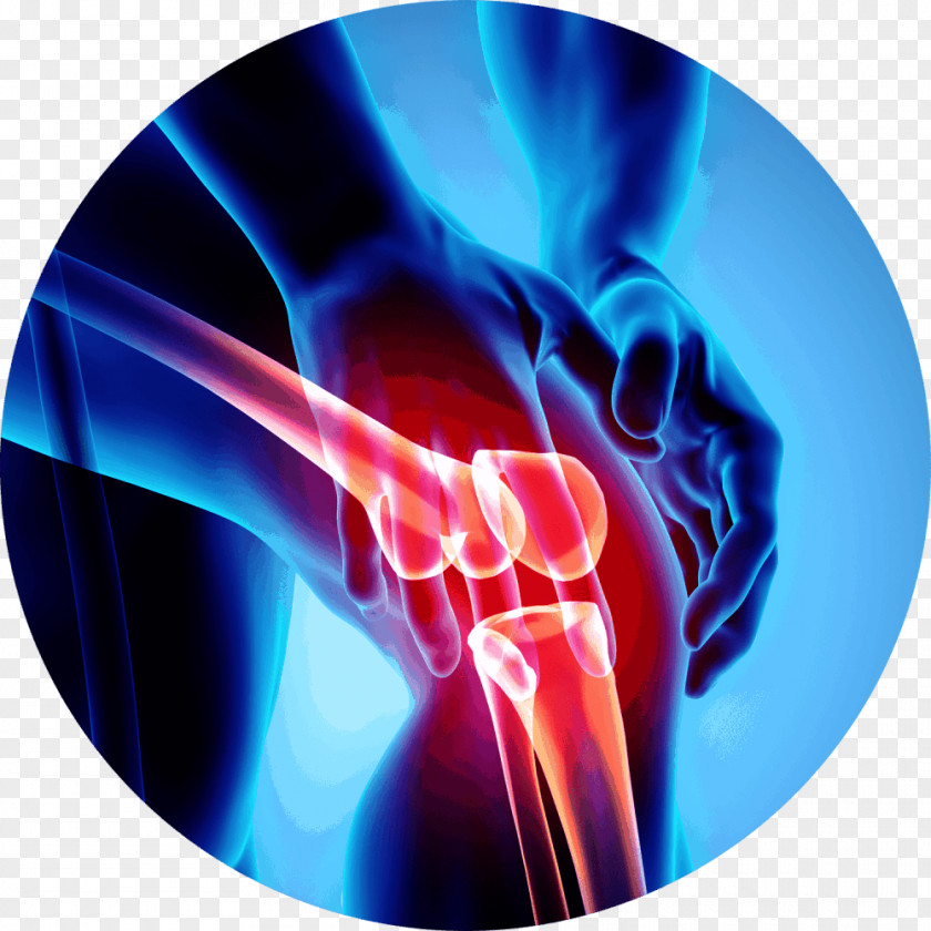 Symbol Human Anatomy Knee Pain Shoulder PNG