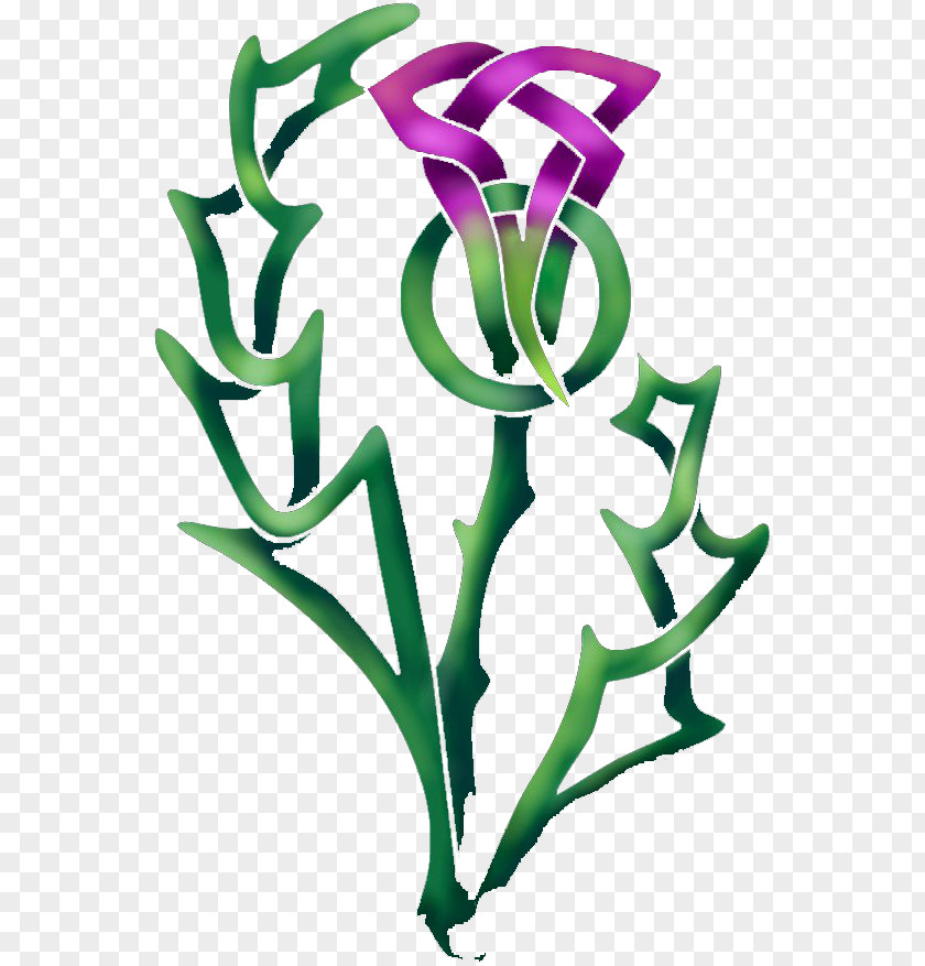 Alfalfa Plant Scotland Milk Thistle Carduus Nutans Thorns, Spines, And Prickles PNG