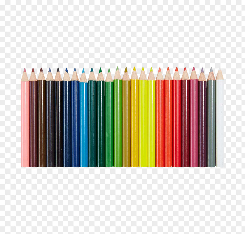 Paints Colored Pencil Art Crayola PNG